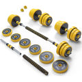 Cast Iron Adjustable Dumbbell weights 30kg Barbell Set